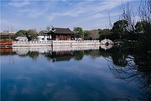 浦东牡丹园