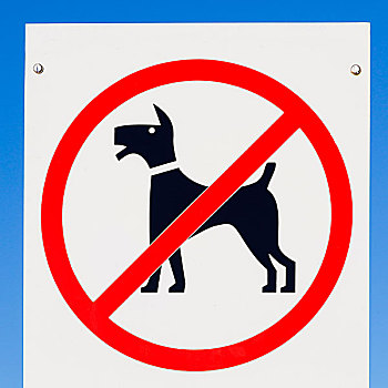 标识,狗,禁止
