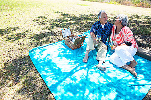 老年,夫妻,野餐,户外