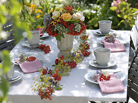 桌饰,花环,山梨,花楸浆果,茴香