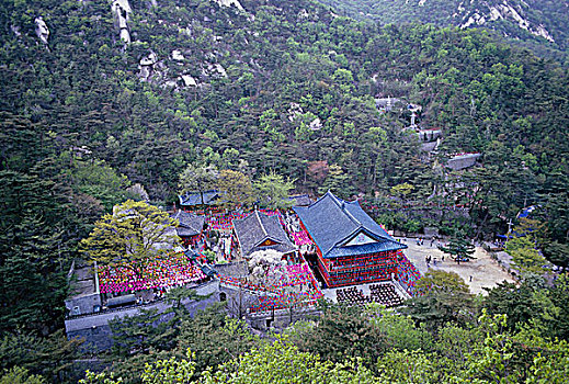 韩国,庙宇