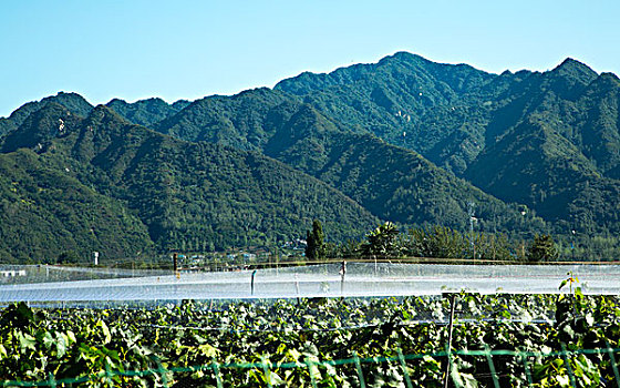 秦岭山