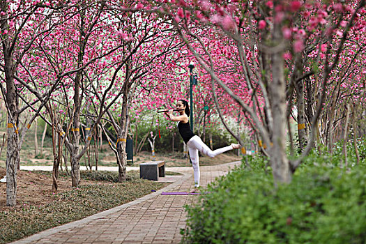 潍坊植物园瑜伽女孩