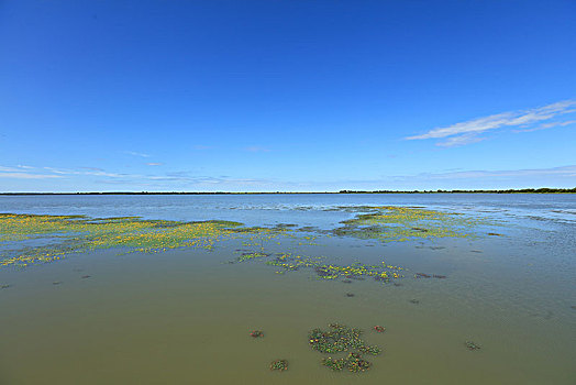 千鸟湖湿地