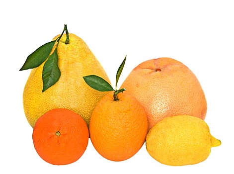 柑橘,柚子,柠檬,橙色,隔绝