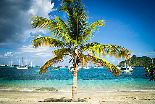 海滩,格林纳达,西印度群岛