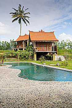 高脚屋,假日,公寓,游泳池,乌布,巴厘岛,印度尼西亚