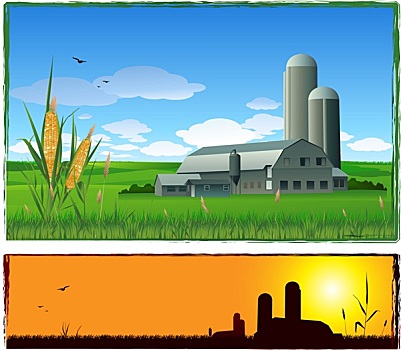 农场,丰收,背景,插画