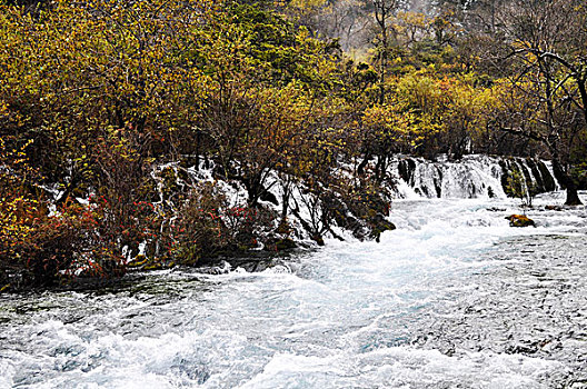 冬季九寨沟的美景