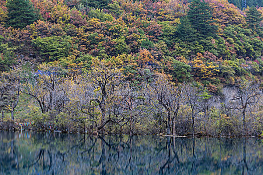 四川九寨沟