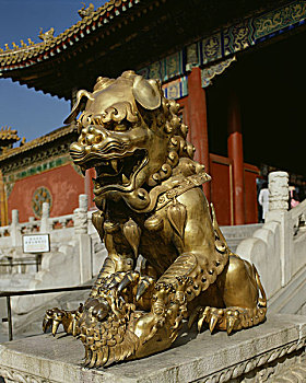特写,雕塑,狮子,故宫,北京,中国