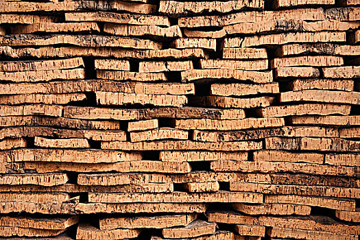 栓皮栎,西班牙栓皮栎,树皮,一堆,蒸汽室,埃斯特雷马杜拉,西班牙