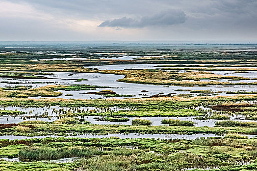 黑龙江省雁窝岛湿地自然景观
