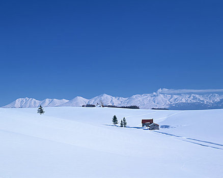 雪原,小屋,山