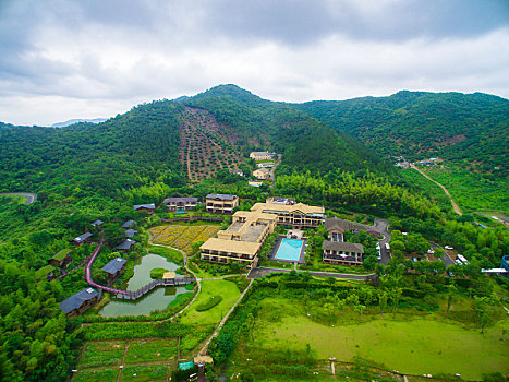 航拍,水岸,湖泊,全景,绿色