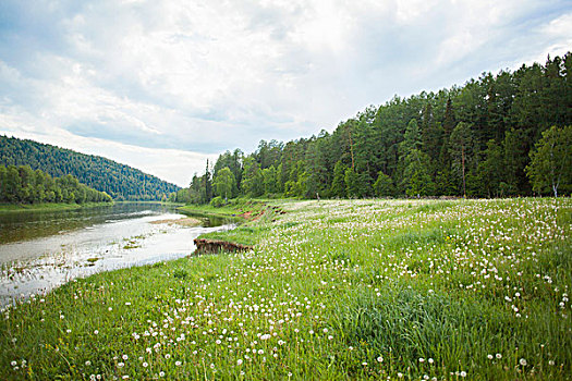 河谷,树林,乡村,俄罗斯