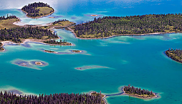 航拍,俯视,卡里布,区域,不列颠哥伦比亚省,加拿大