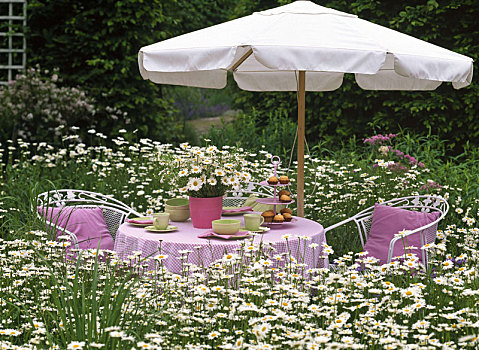 休息区,粉色,枕头,桌布,雏菊,草地