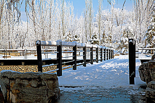 白雪覆盖着的桥