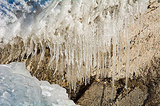 冬天湖边石头上结冰的冰柱