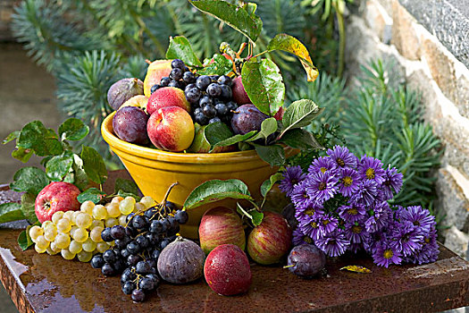 季节,静物,种类,秋天,水果,黄色,碗,紫苑属,花