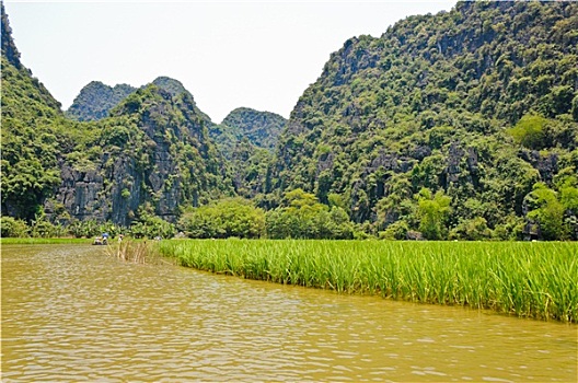稻田,河,石灰石,山,背景,越南