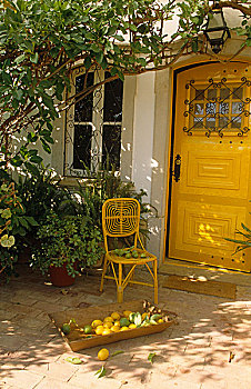 黄色,椅子,正前,柠檬