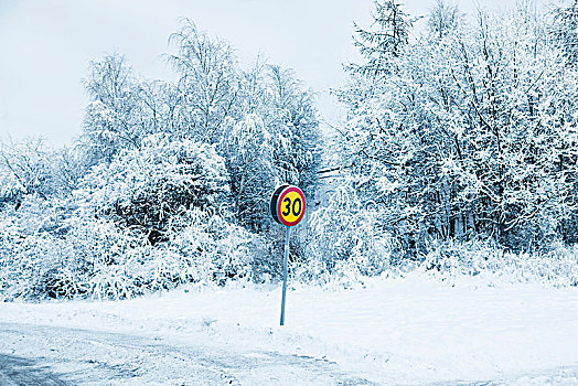 瑞典,限速标识,冬天,风景