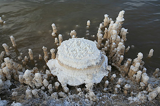 青海格尔木盐湖盐结成的盐花