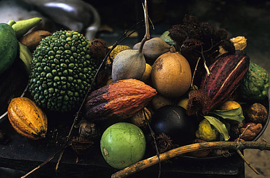 格林纳达,花园,热带水果,调味品,可可,肉豆蔻,芒果