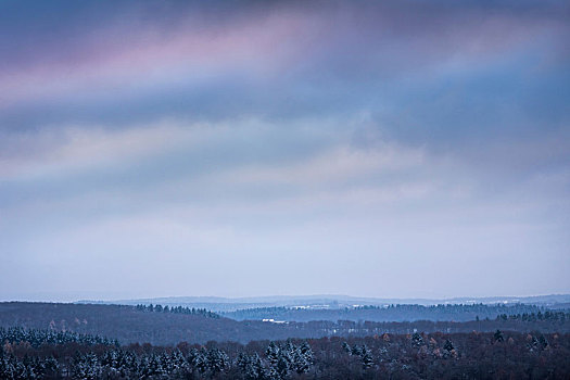 黑森林,风景,冬天,俯视图,德国