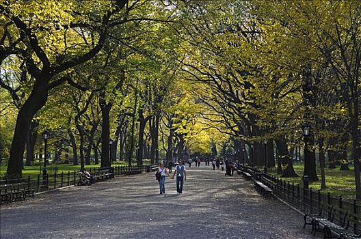 伴侣,走,中央公园,享受,秋色
