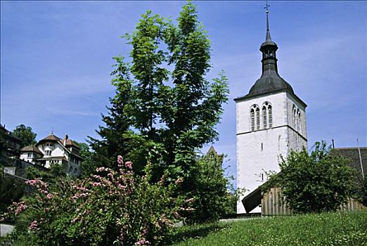 瑞士,弗里堡,教堂