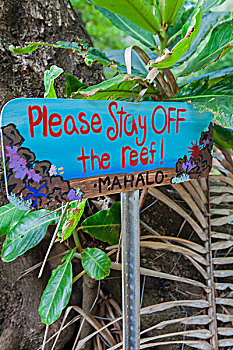 手绘,警告标识,考艾岛,夏威夷,美国
