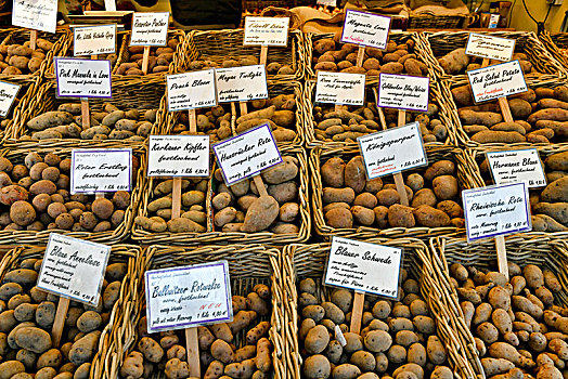 多样,土豆,市场,杜塞尔多夫,北莱茵威斯特伐利亚,德国