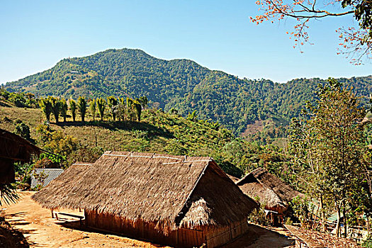 小屋,茅草屋顶,阿卡族,乡村,金三角,清莱,省,泰国