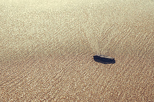 一个,小,石头,躺着,海滩,沙,抽象,模糊背景,暗色图象,聚焦
