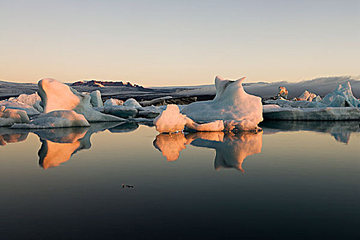 冰山,结冰,湖,日出,杰古沙龙湖,冰岛
