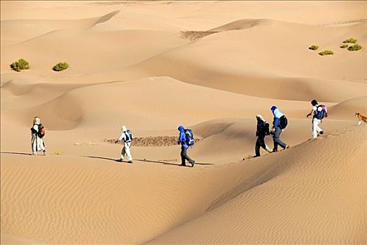 沙漠,跋涉,游客,远足,靠近,摩洛哥