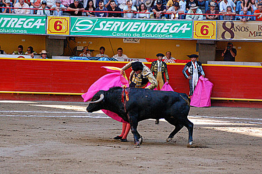传统,景象,斗牛,斗牛场,哥伦比亚,二月,2007年,城市,品种,节日