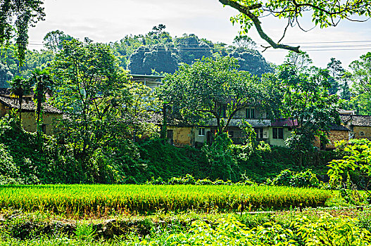 山林风光