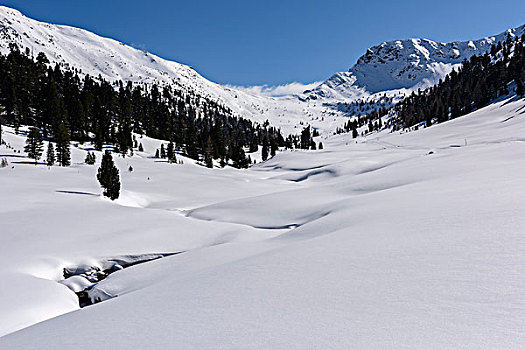 冬季风景,小溪,伦高,奥地利,欧洲