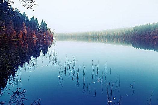 秋景,海岸,雾,安静,湖,蓝色,照片