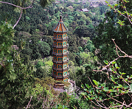 北京海淀区香山公园香山双秋原片120反转片