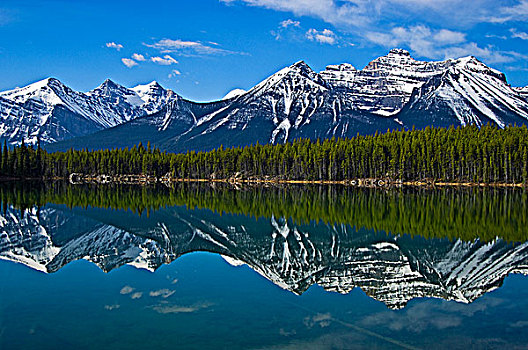 山,反射,赫伯特湖,班芙国家公园,艾伯塔省,加拿大