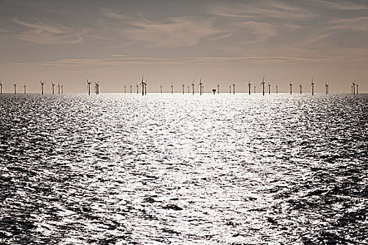 荷兰,风电场,海岸,北海
