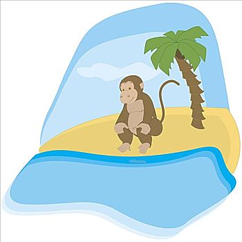 猴子,坐,海滩