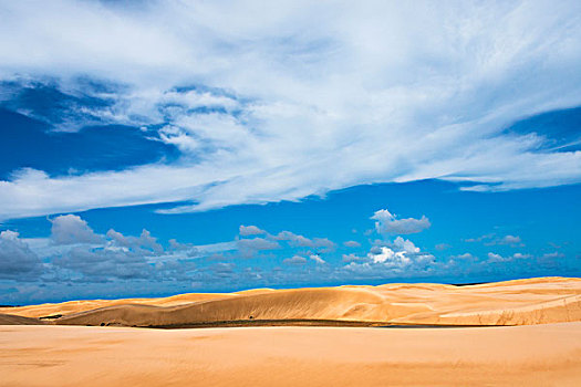 沙丘,国家公园,巴西,大幅,尺寸