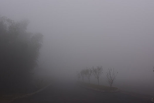 大雾天伤感图片