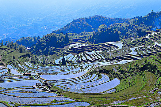 中国最美梯田,浙江丽水云和梯田